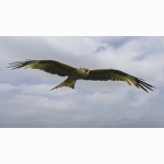 20220609 2 RM 01 1 DSC07977.jpg